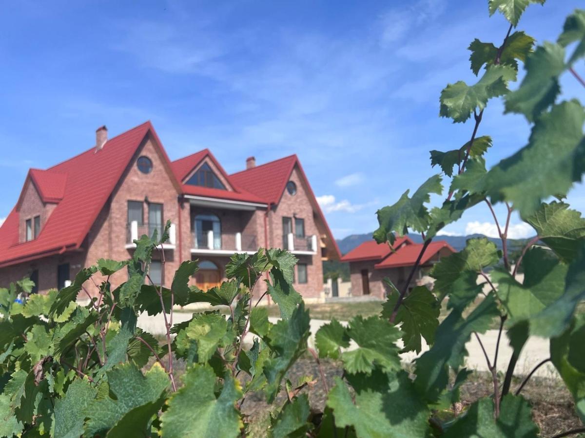 Begaso Family Winery Hotel Kvareli Buitenkant foto