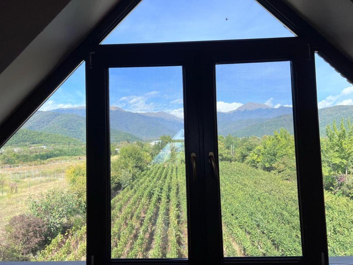 Begaso Family Winery Hotel Kvareli Buitenkant foto