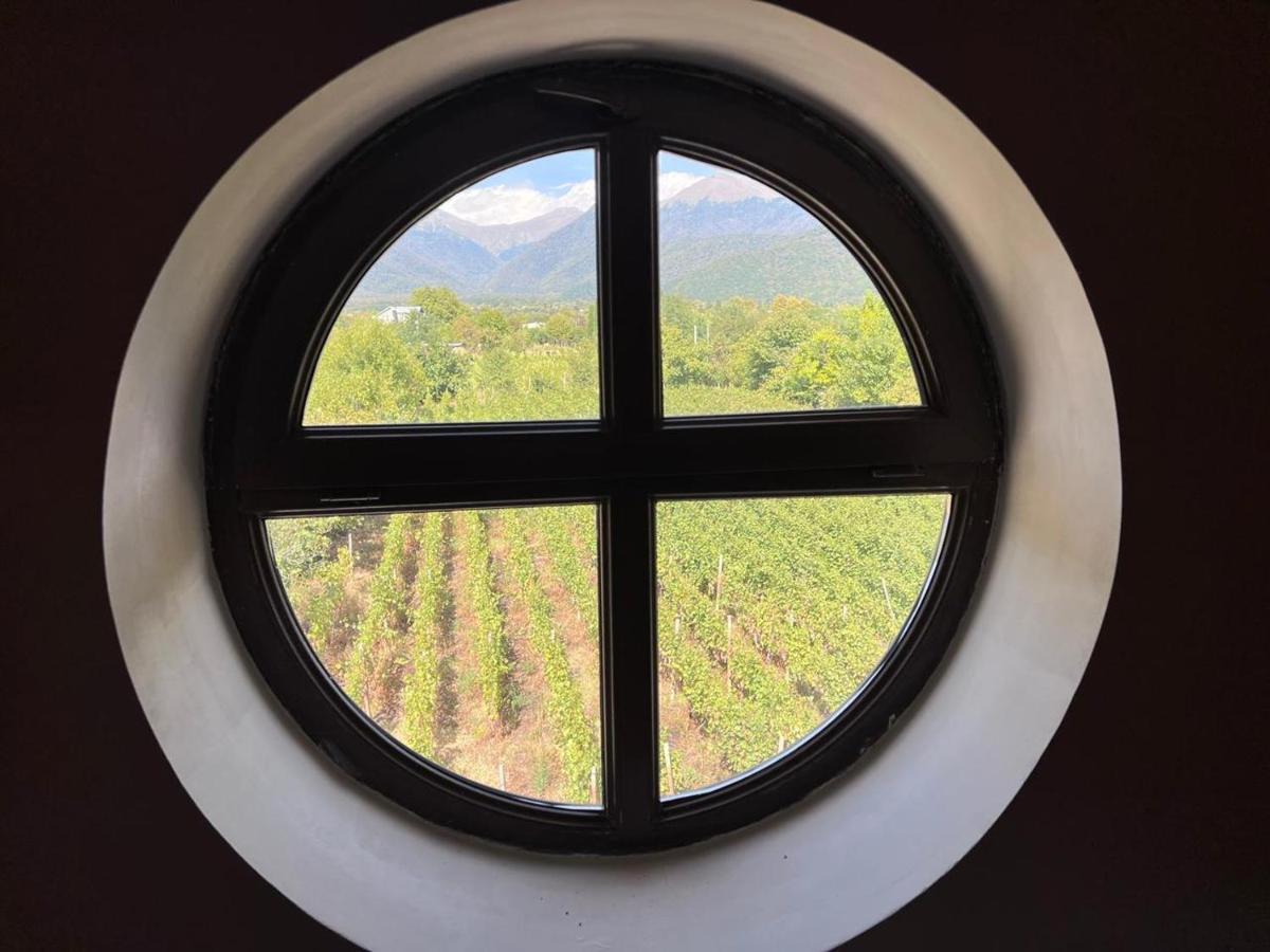 Begaso Family Winery Hotel Kvareli Buitenkant foto